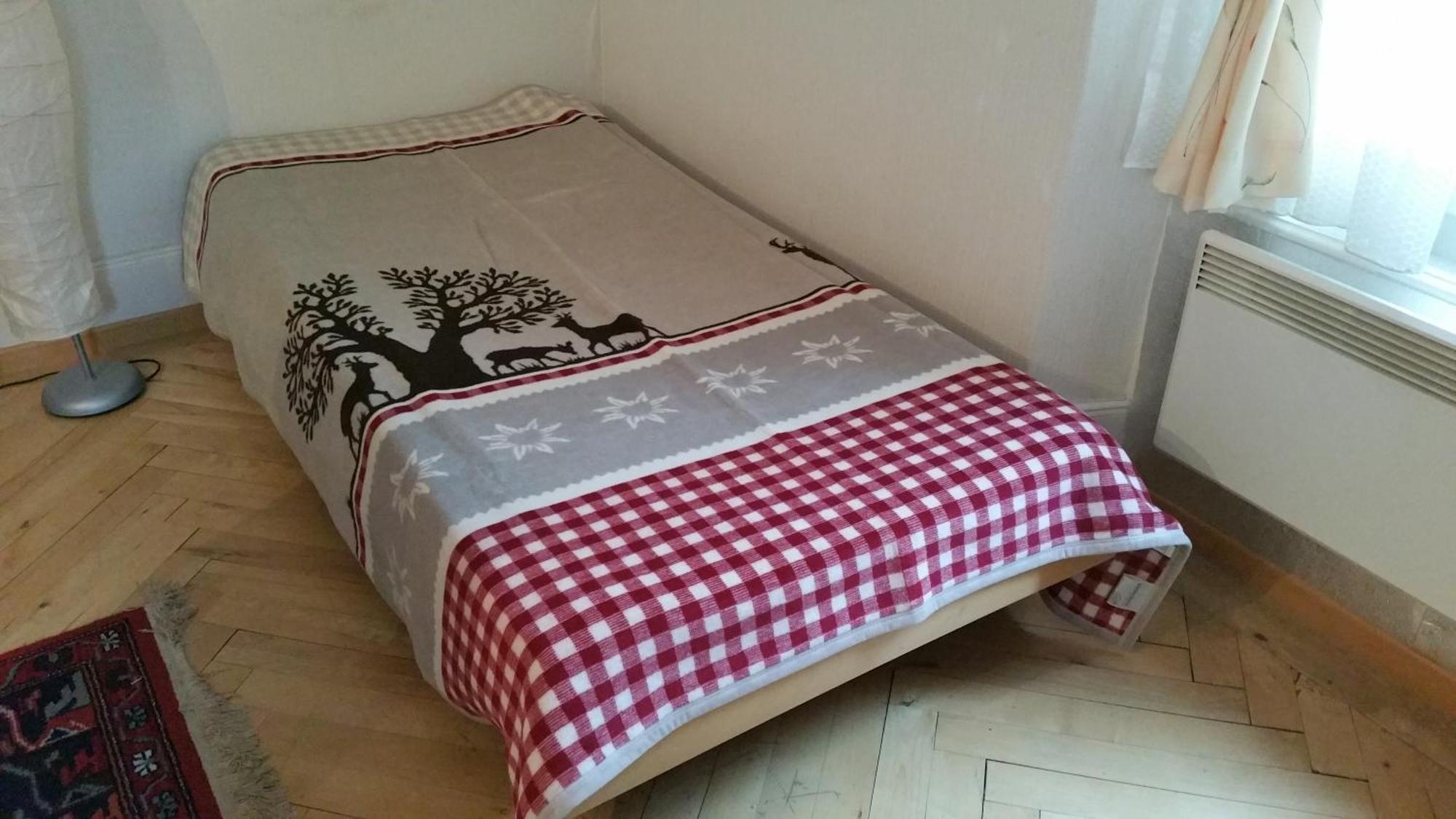 Ferienwohnung Haus Ryter Göschenen Pokoj fotografie